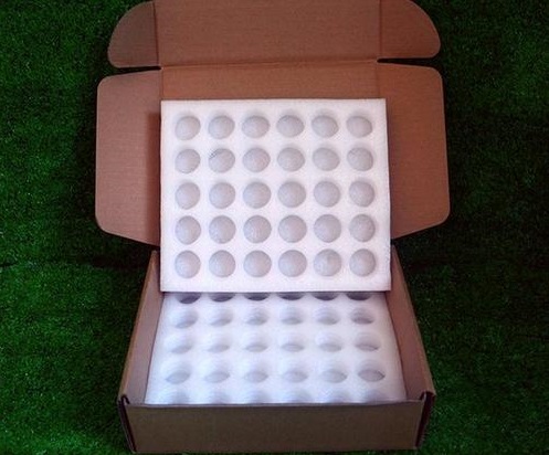 1588225640196655.jpg u=407660164,27184458&fm=26&gp=0.jpg